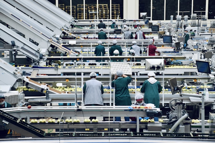 Workers on a food production line inside a manufacturing plant