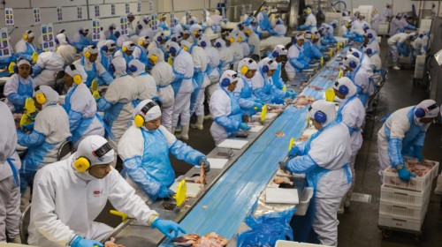 A crew of trained food service workers working together on a production line
